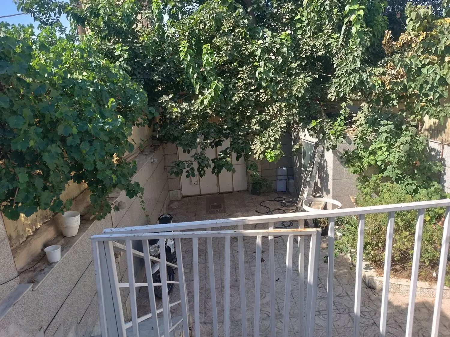 ملک مستقل برای اجاره گاو خانه