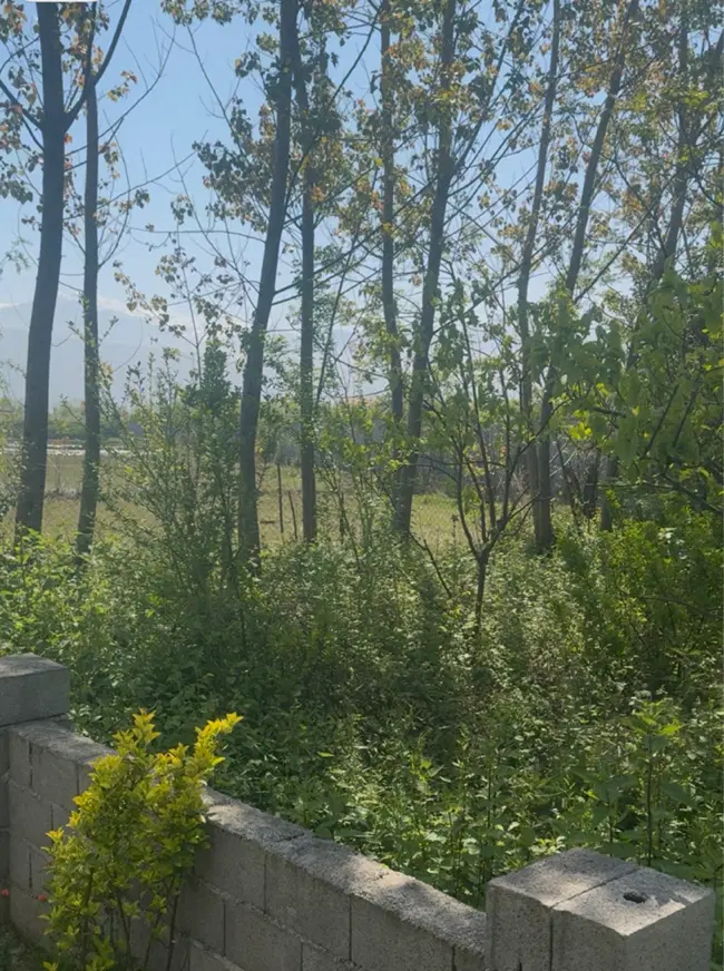 زمینی به مساحت ۳۰۰ متر در تنکابن