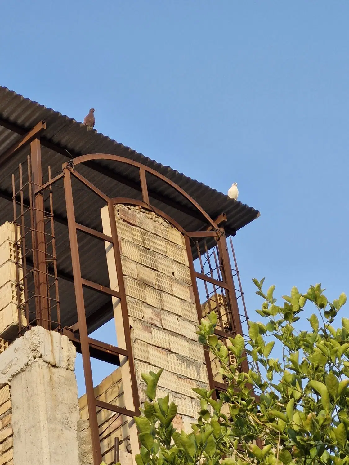 آپارتمان اجاره ای