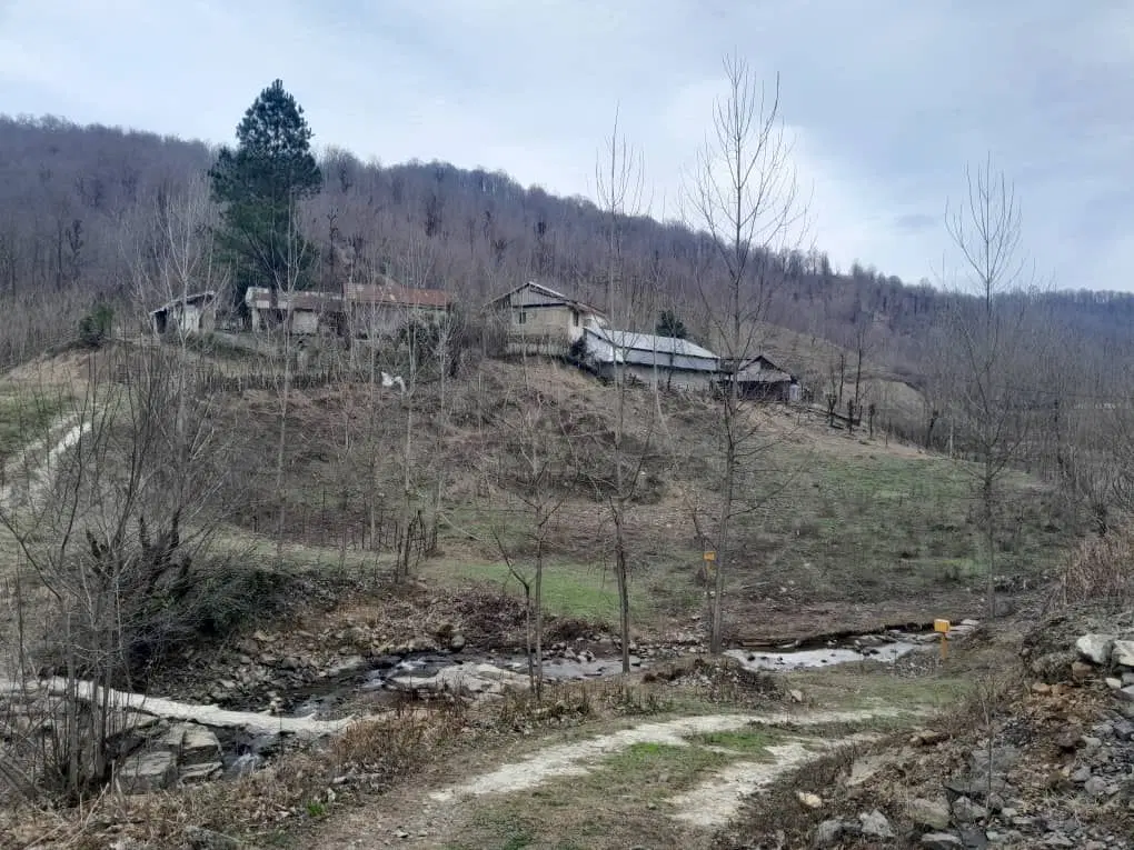 فروش زمین در روستای بکر وتوریستی چناررودخان