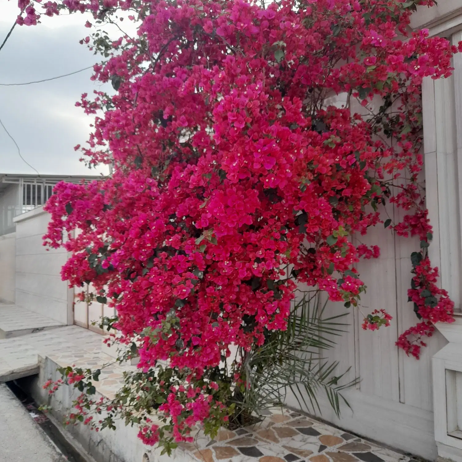 خانه دو طبقه
