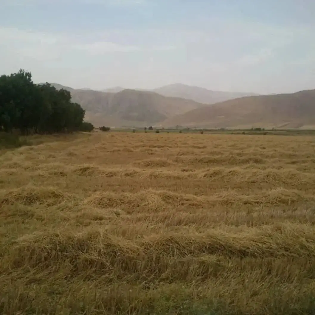 فروش زمین کشاورزی آبی