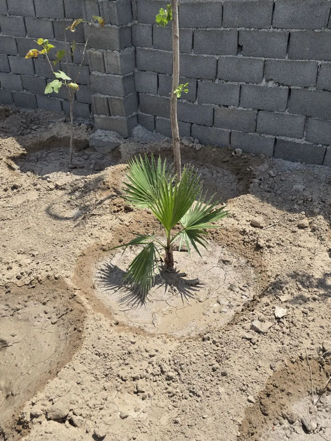 باغ‌وباغچه دارای مجوز