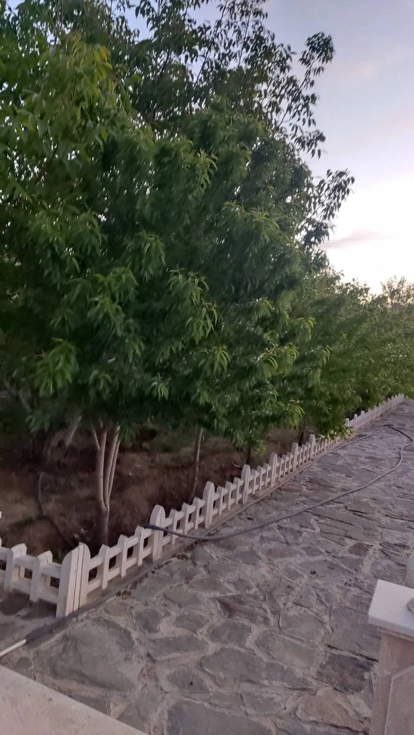 باغ