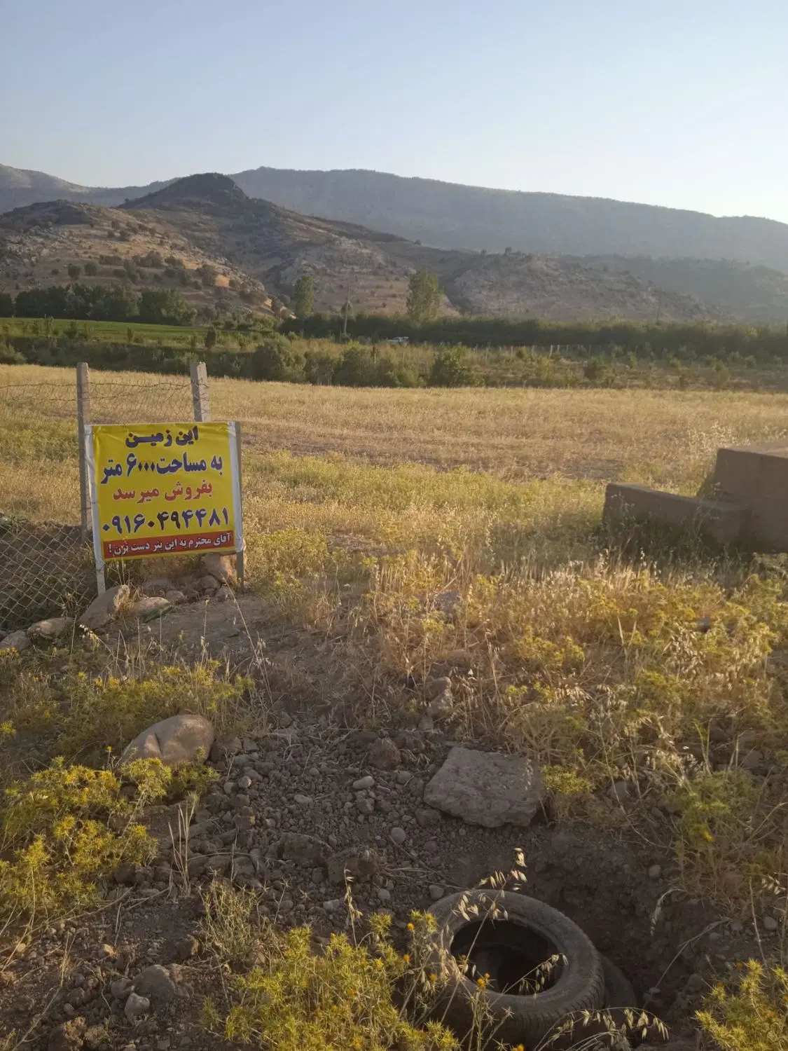 زمین کشاورزی آبی