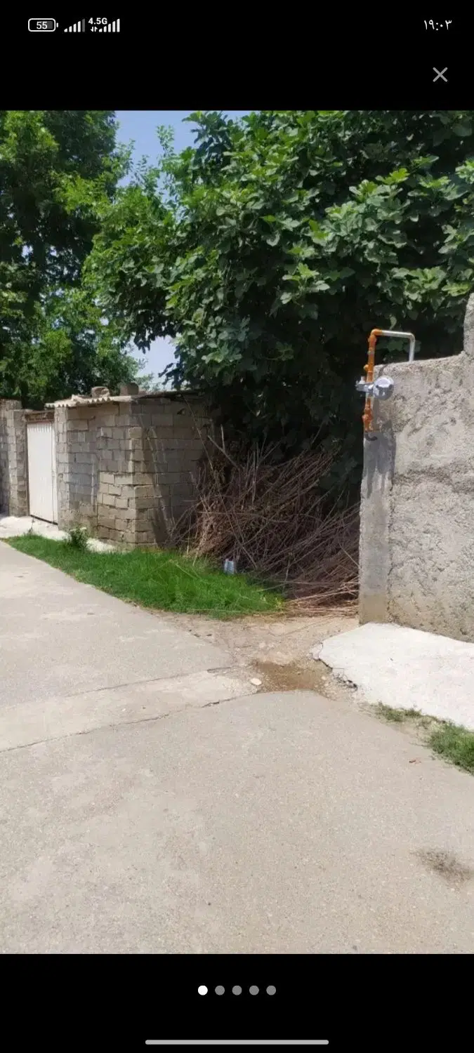 روستای قوینلی خیابان گلزار کوچه شهید سر گلزایی