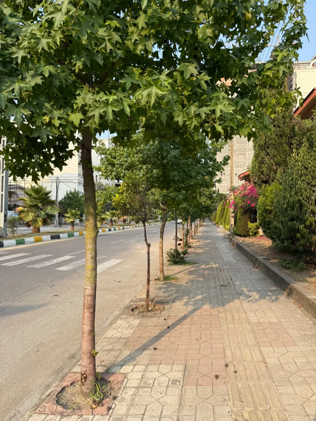 ویلایی سرخرود حوالی میدان قوری اجاره سالانه