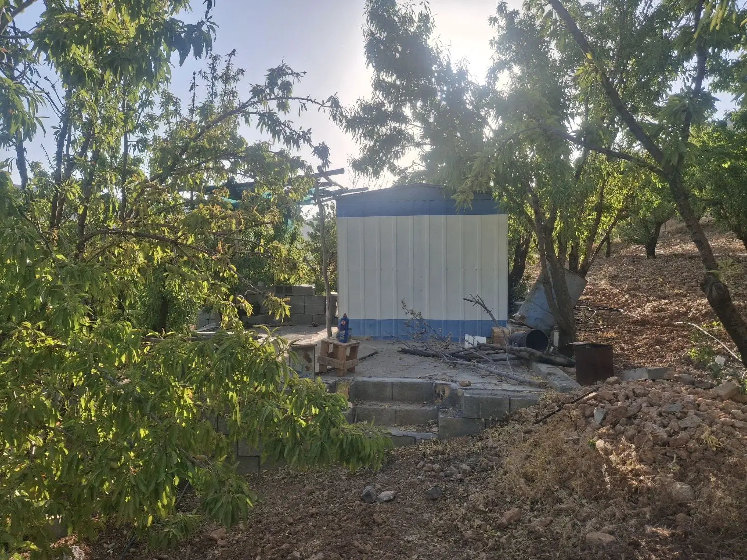 باغ دو جریبی طرح عمان