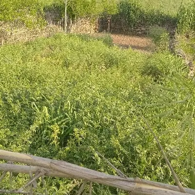 فروش زمین مسکونی شهرک کلاهدوز 16 متری احداثی