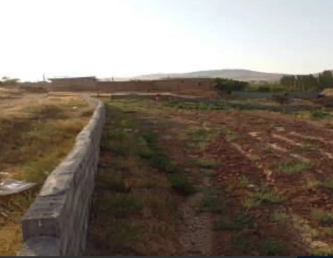 ۶۰۰۰ متر زمین فلت در کرج نظر اباد روستای صالحیه