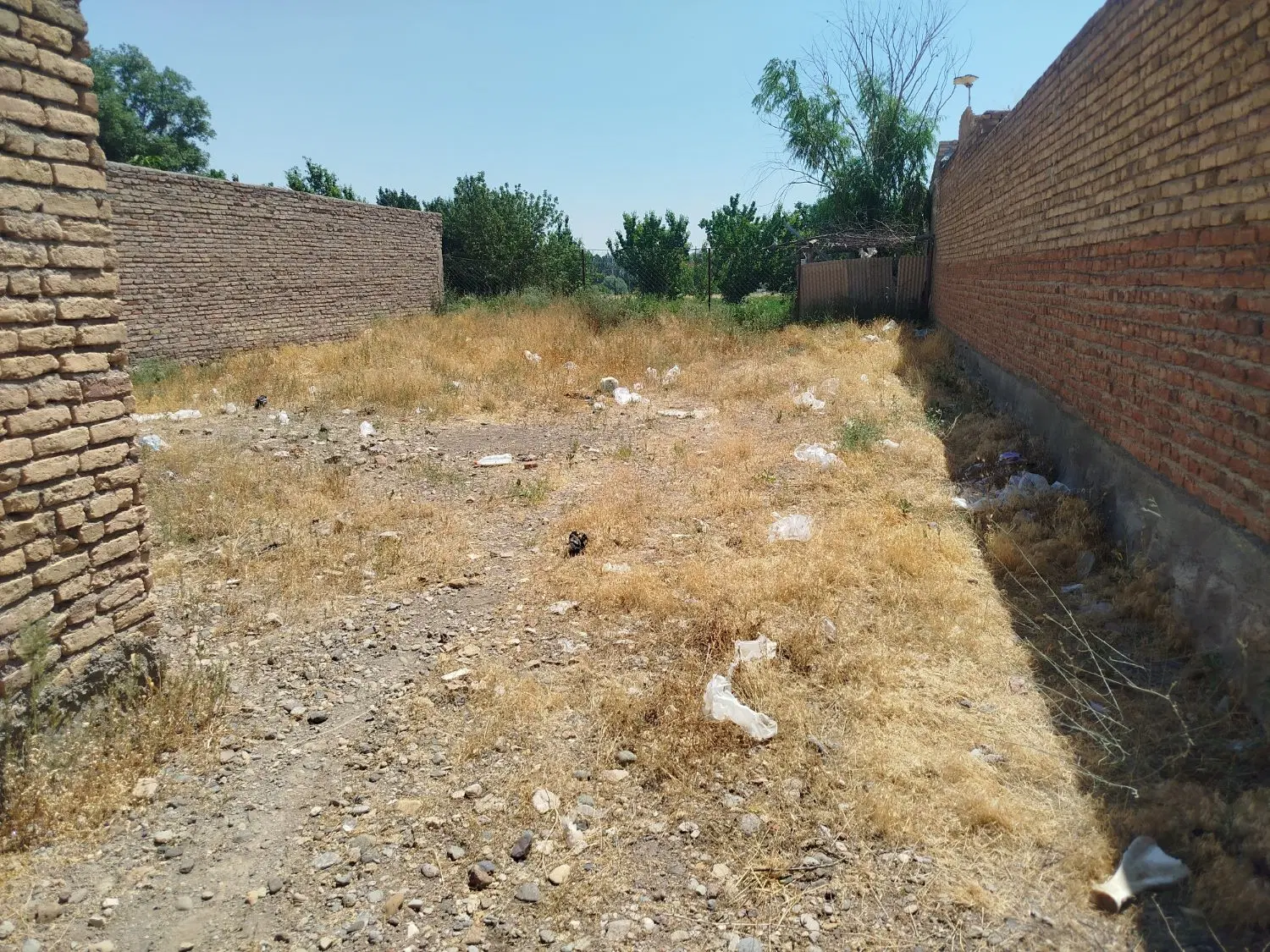 فروش یک قطعه زمین گاوداری