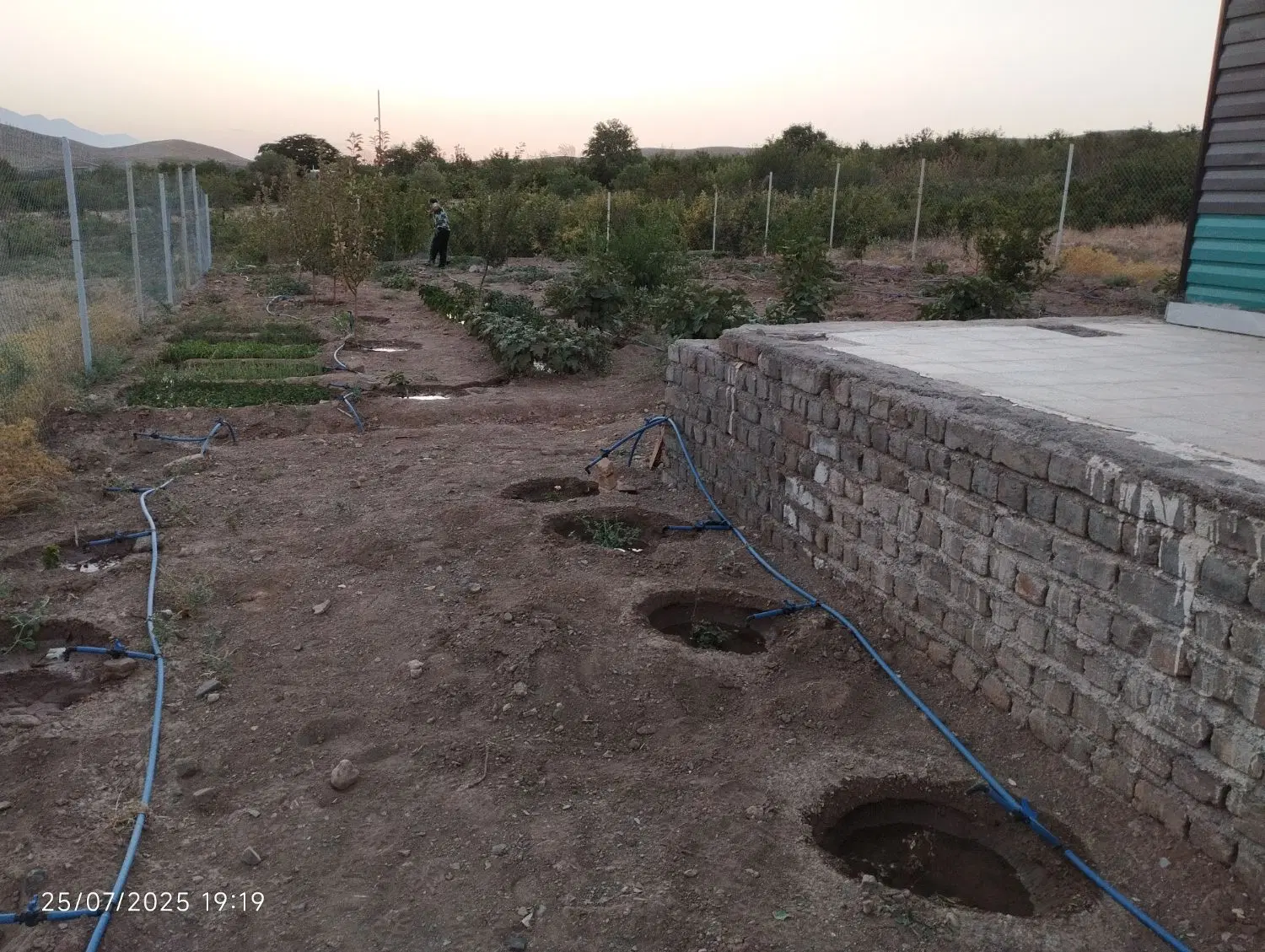 زمین کشاورزی