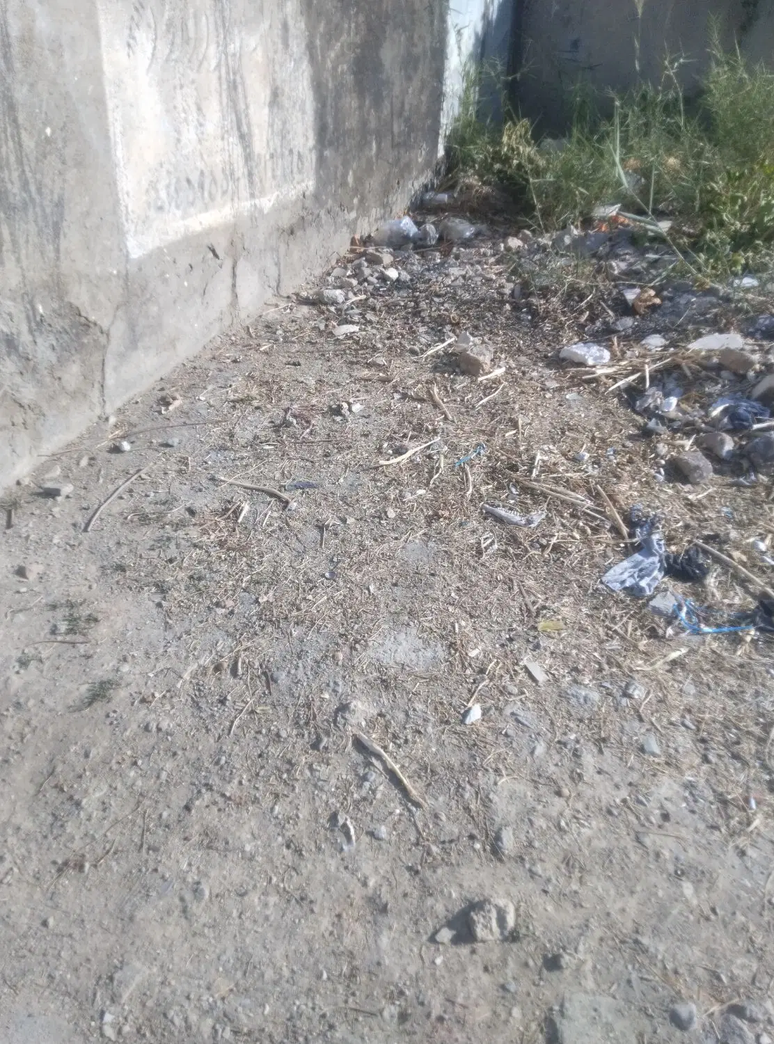 زمین مسکونی