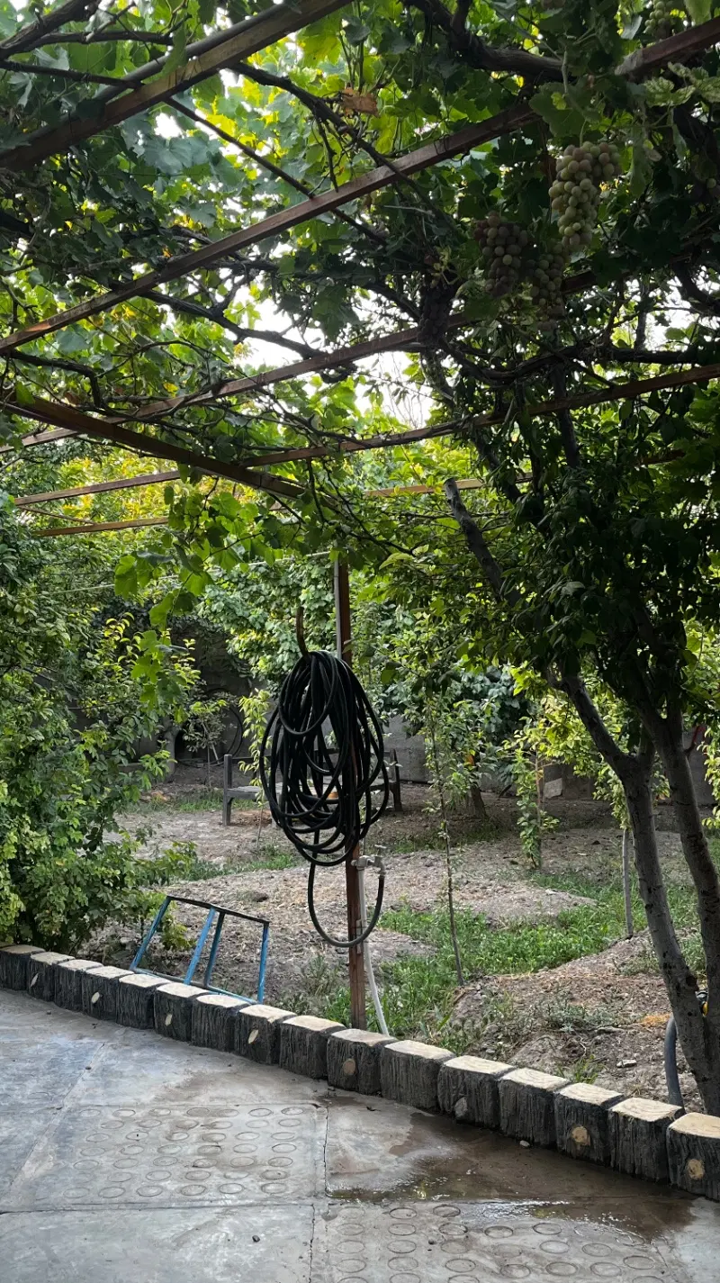 باغچه