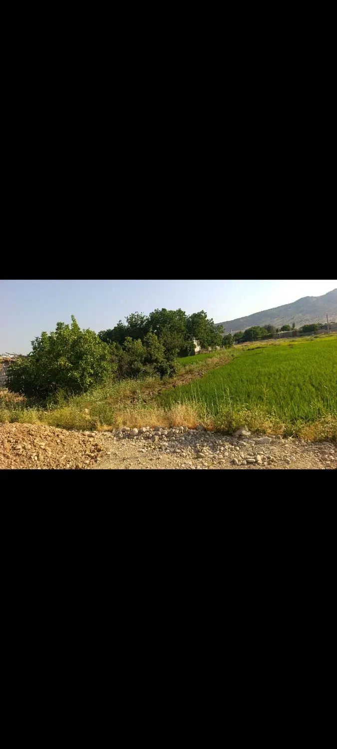 ملک