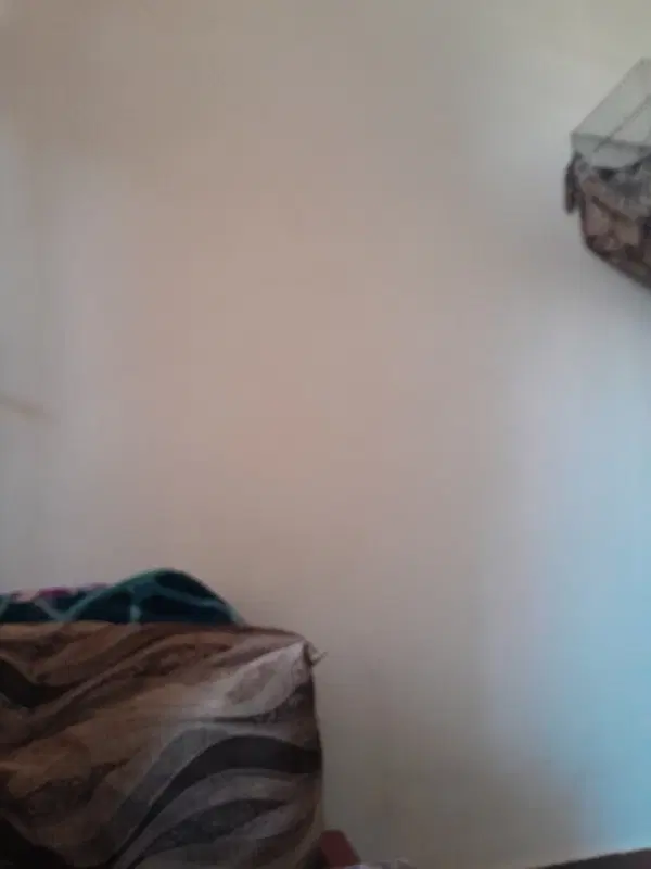 منزل