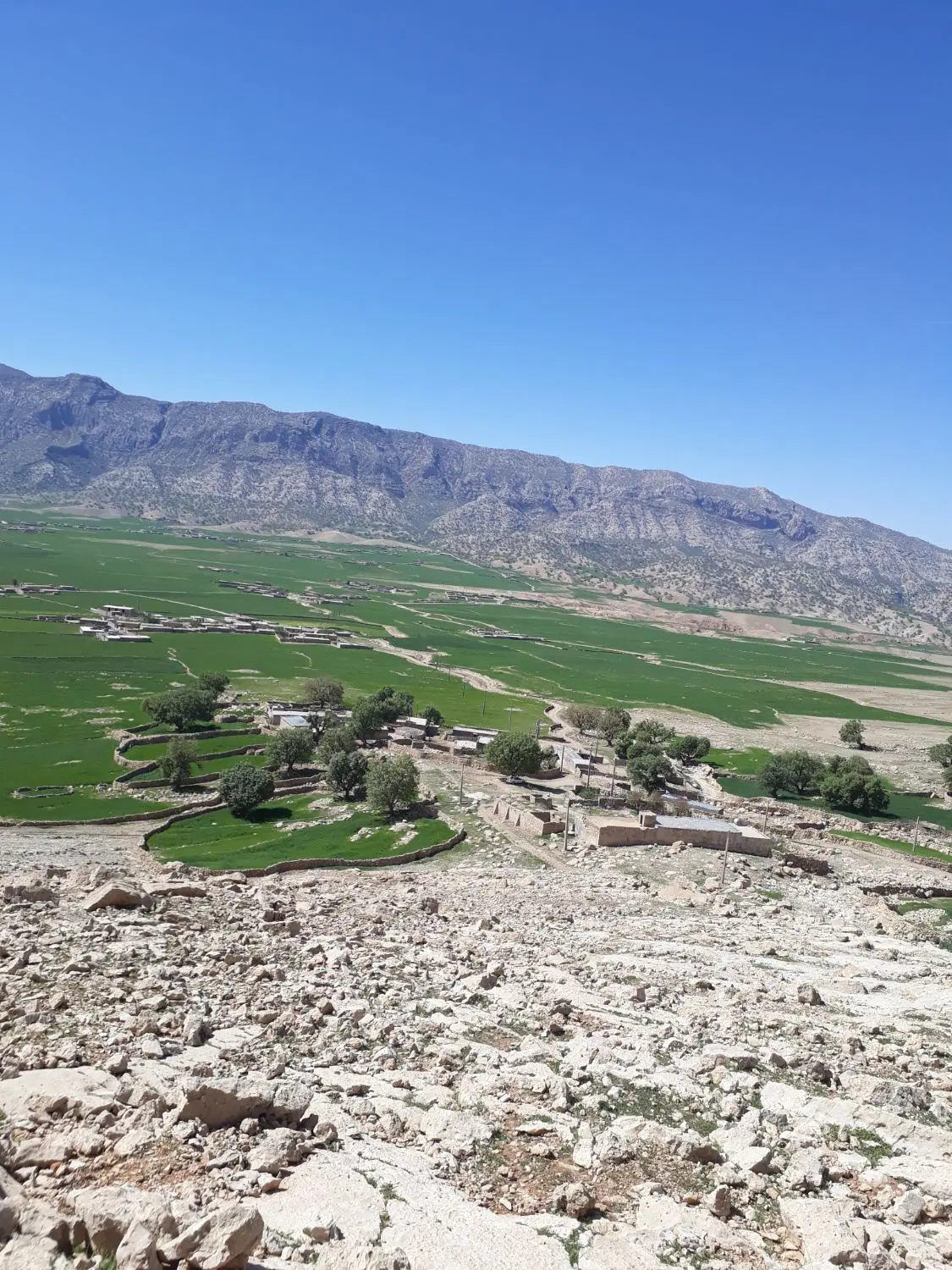 فروشی
