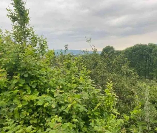 زمین برای ساخت وساز