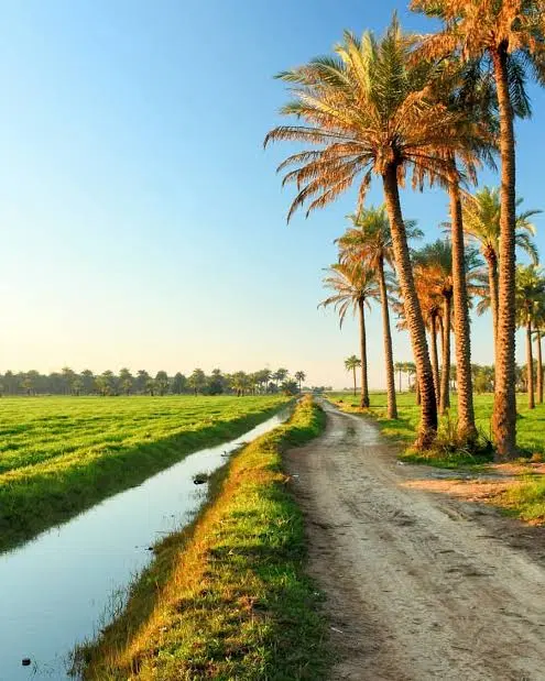 فروش زمین محرزی نهر نه سر نهر