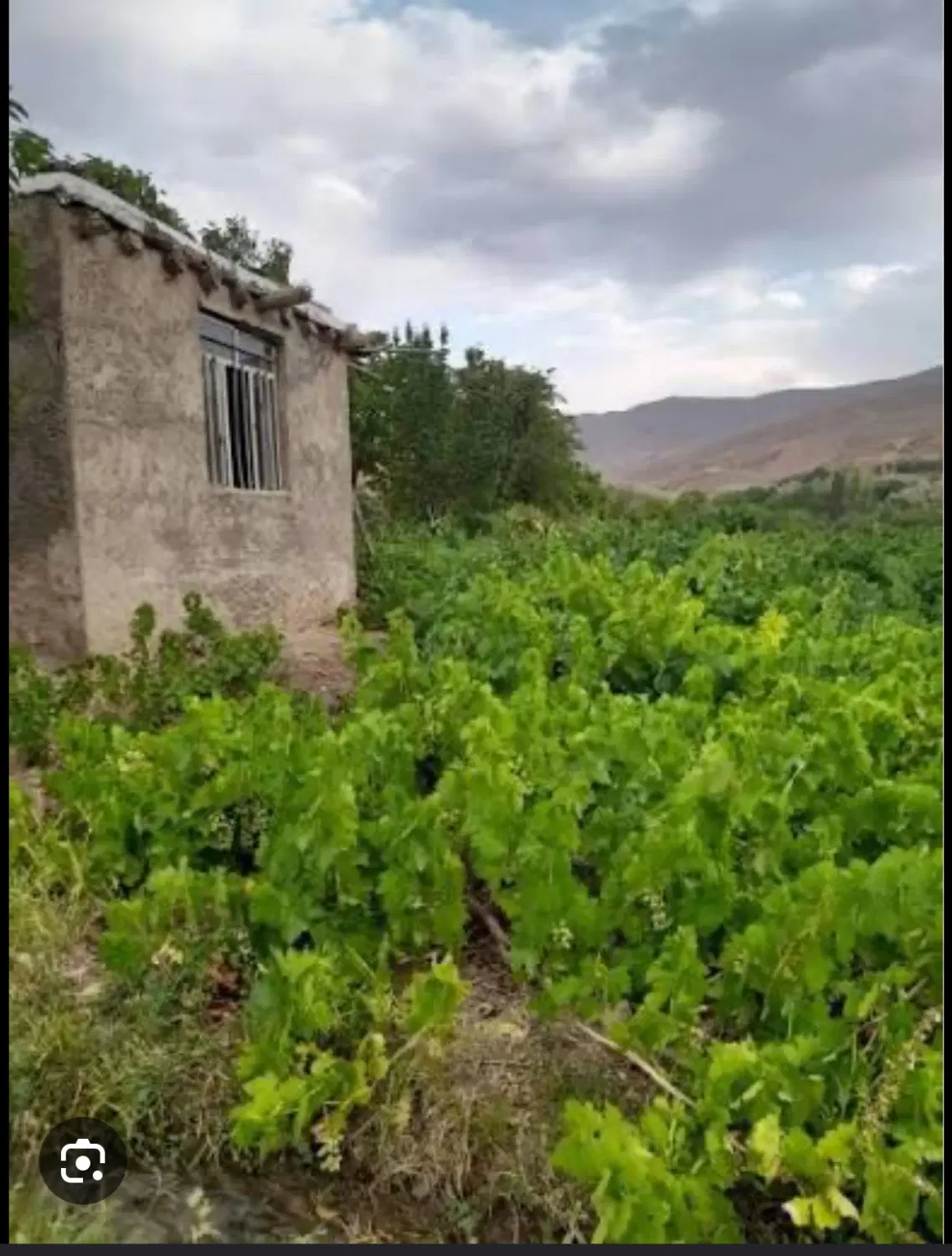 باغ و خانه باغ
