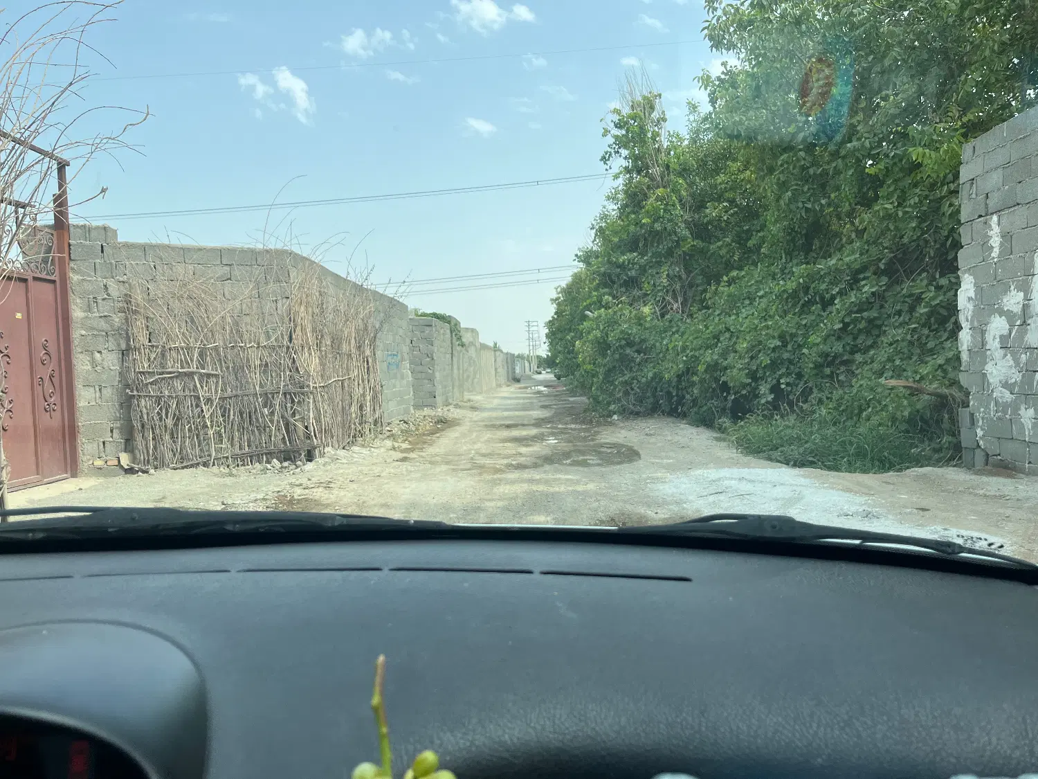 باغچه ۲۲۰ متری
