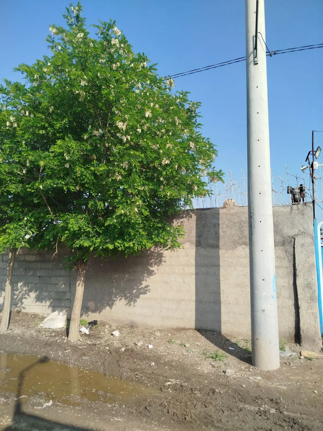 دامداری یا انبار