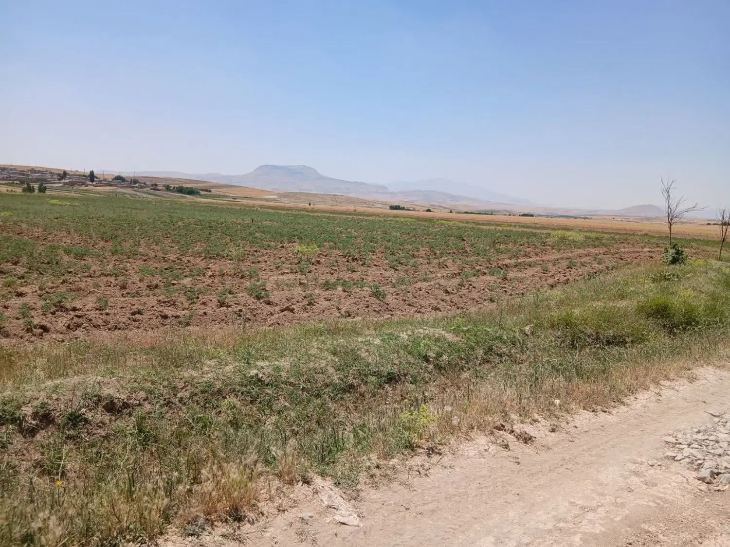 زمین کشاورزی