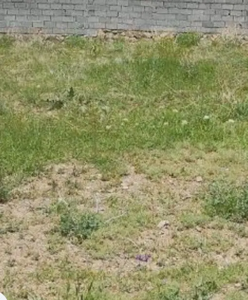 زمین مسکونی خواجه