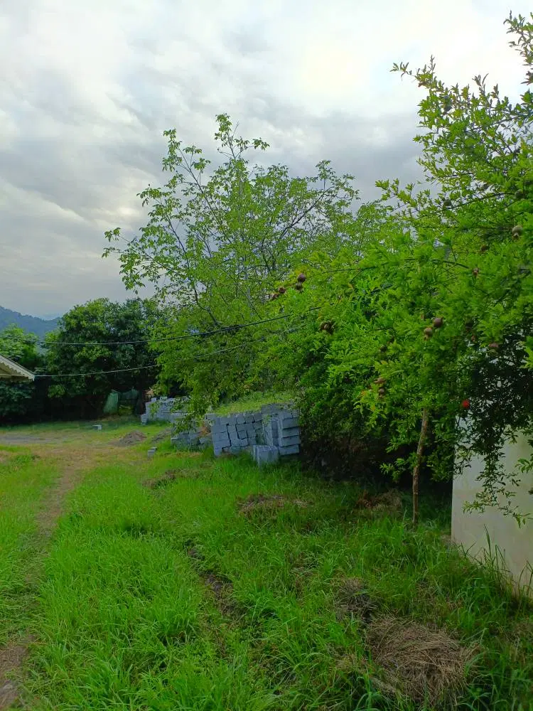 فروش زمین در شمال گیلان