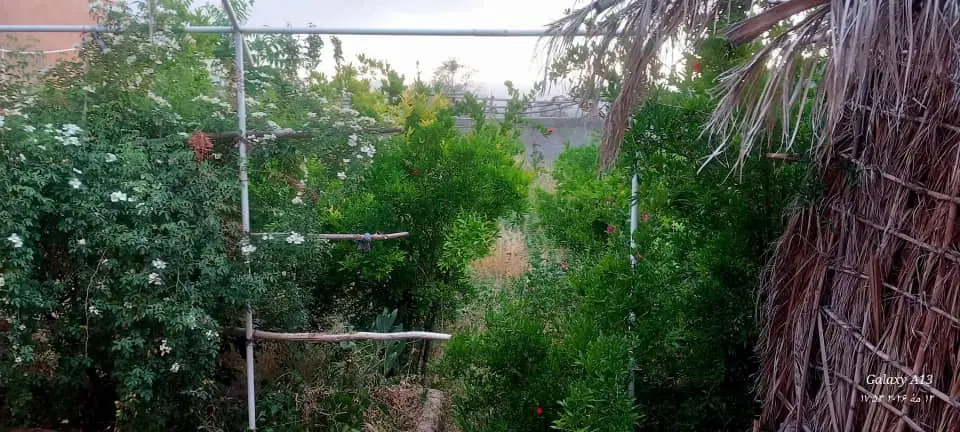 خانه باغ