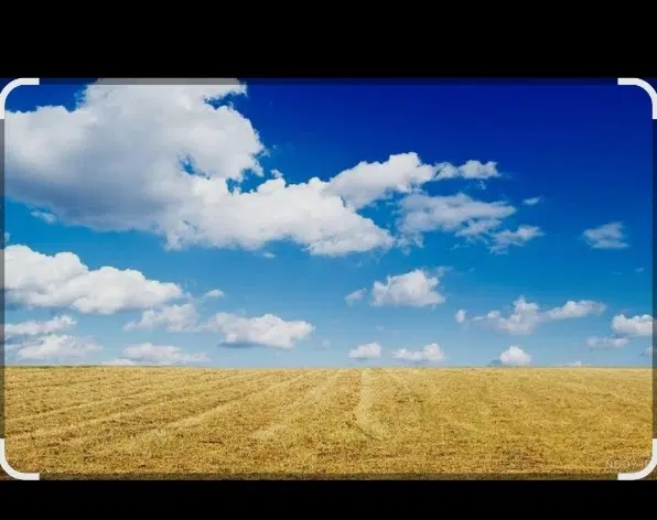فروش زمین