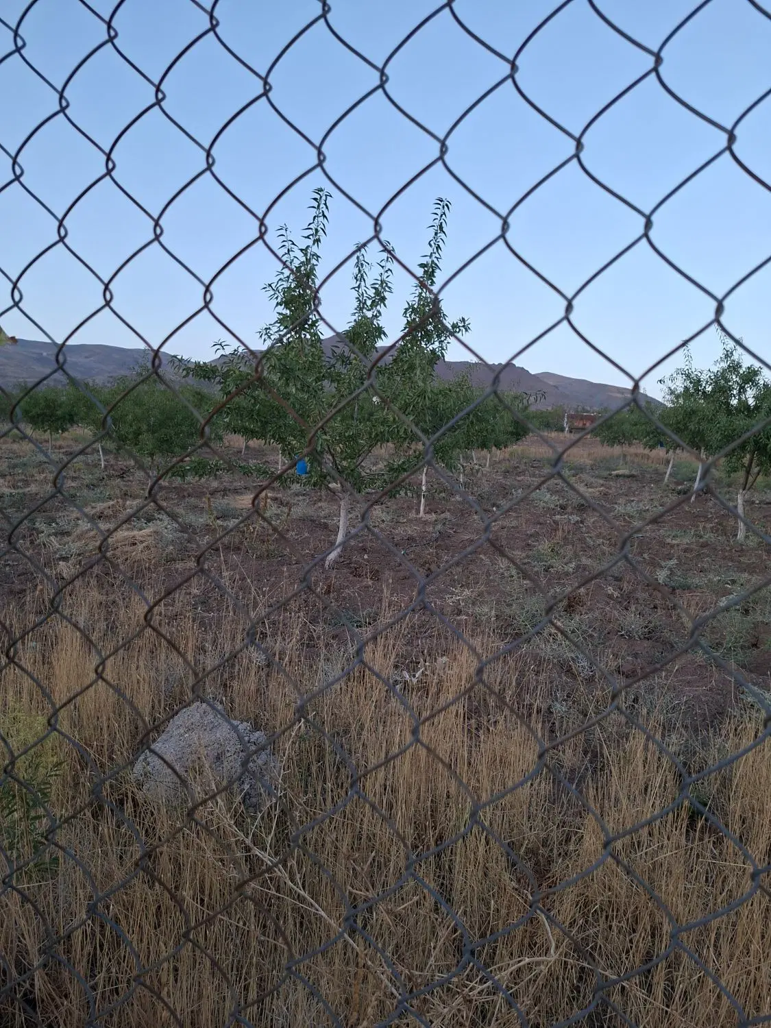 باغ ۲۰۰۰ متری