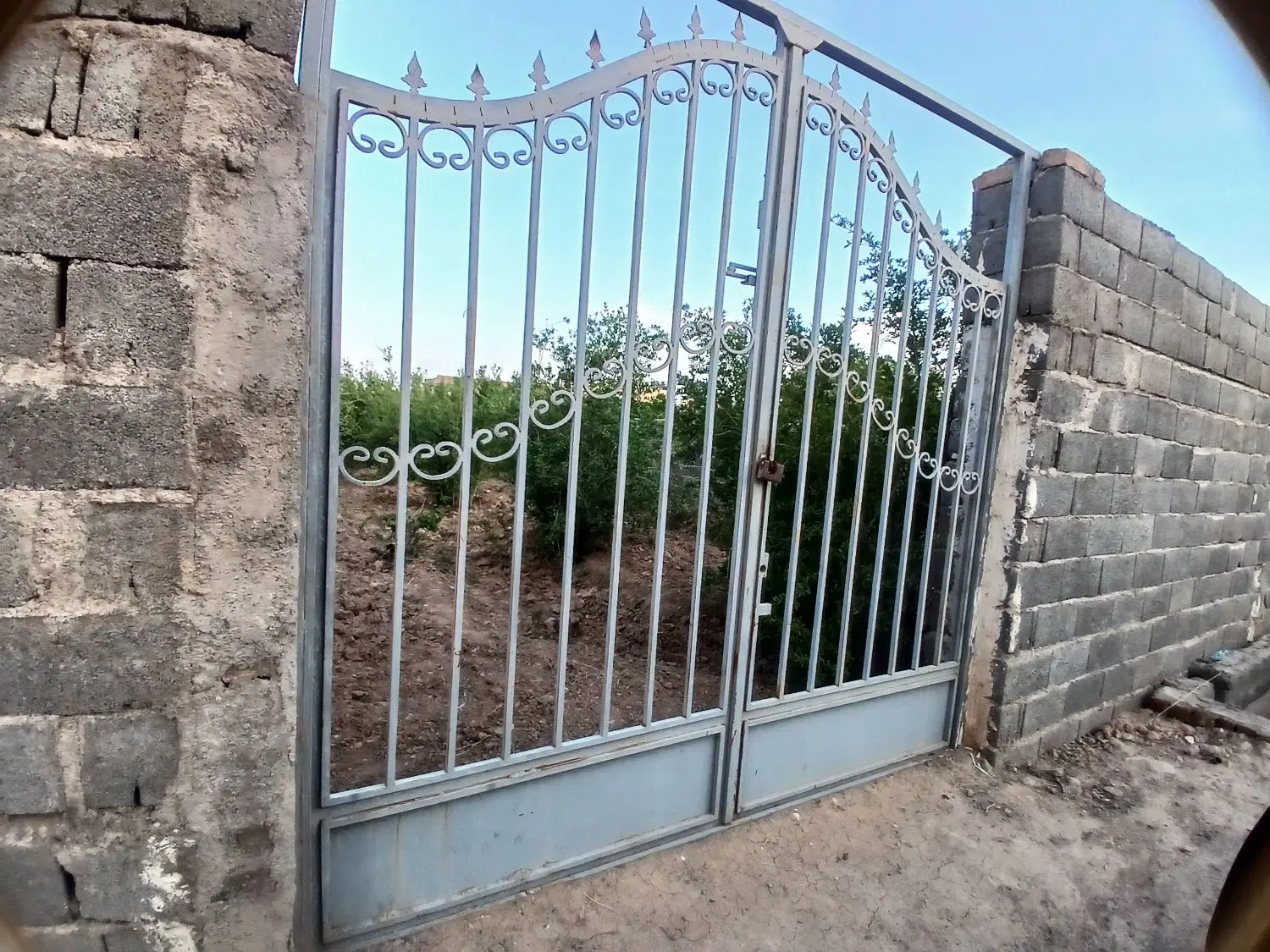 باغ فروشی کوچه سنگ خارا