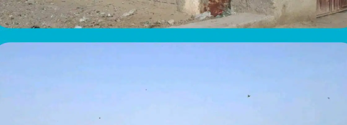 فروش زمین مسکونی در زهک