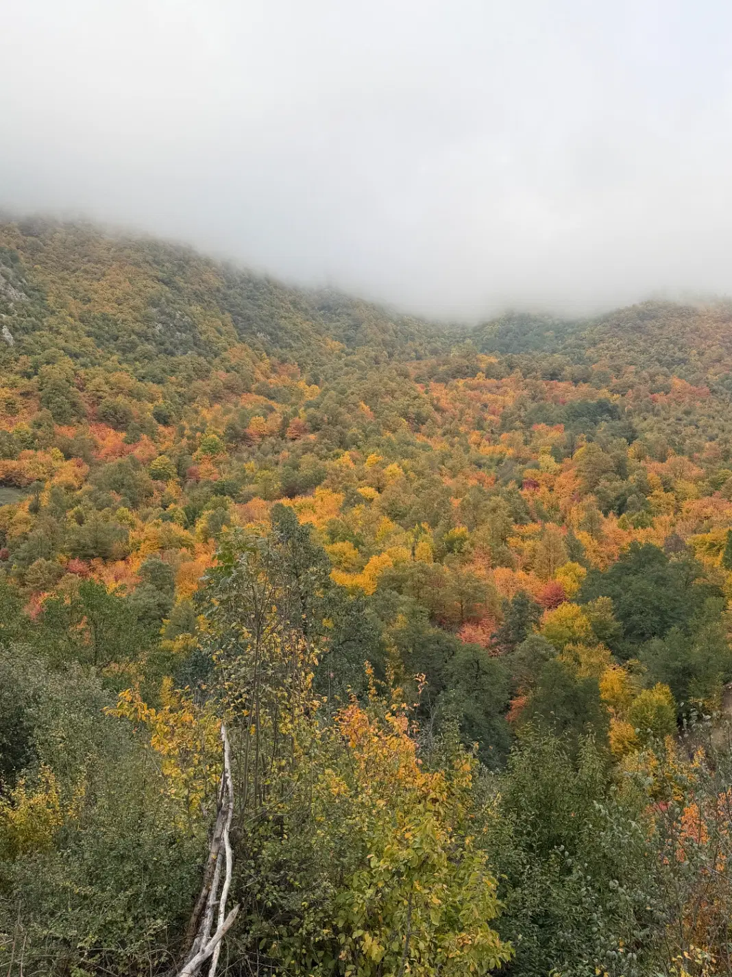زمین فروشی درروستای بالاچلی