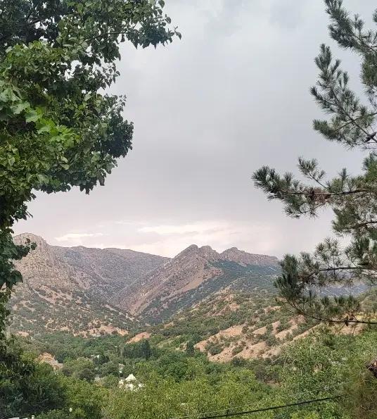 دفترکار_بلوار بویراحمد