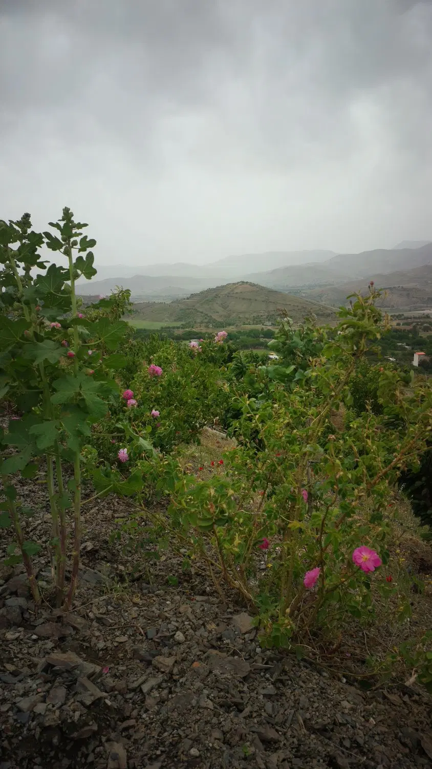 فروش باغ انتهای ۲_۱۹