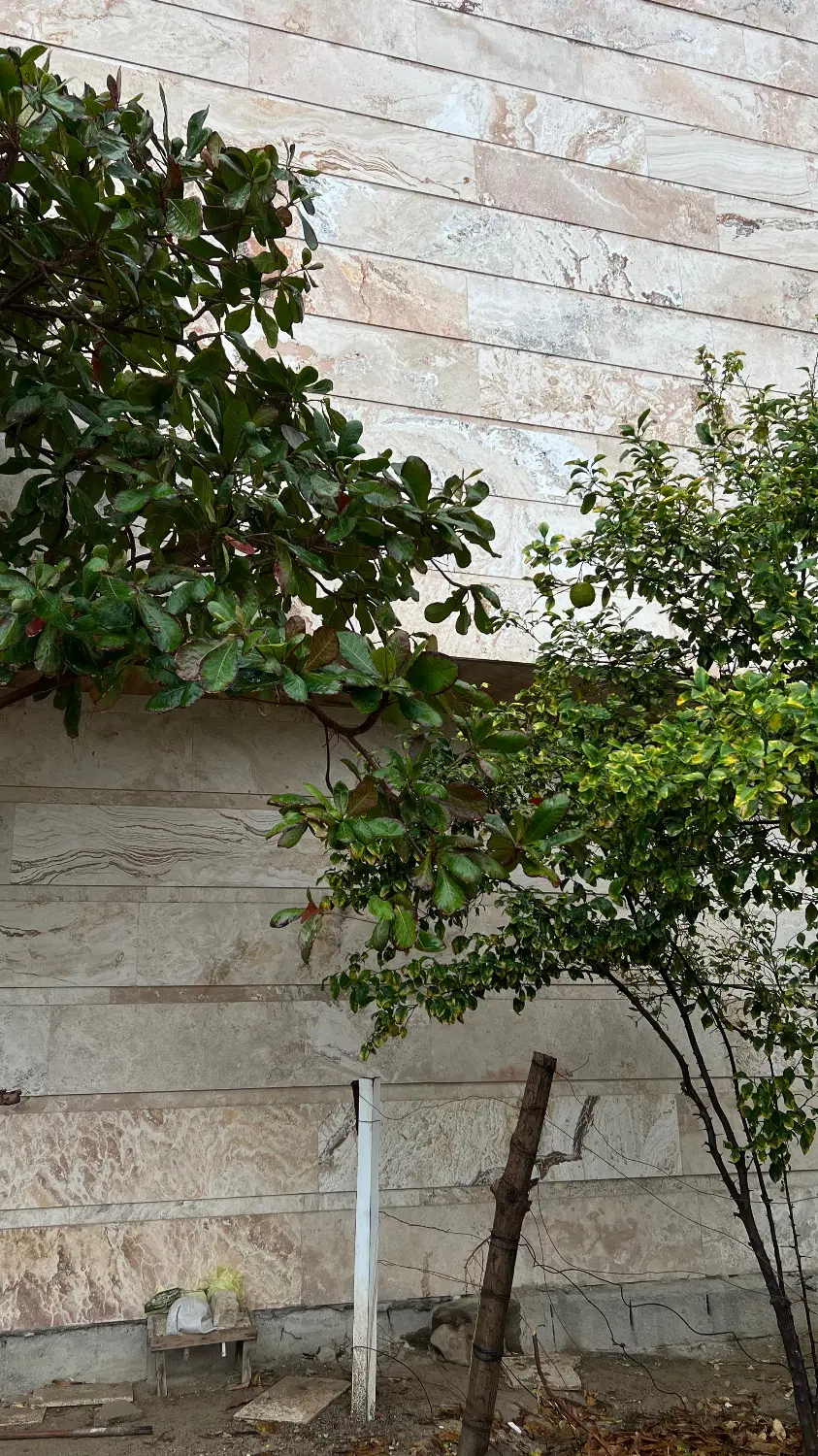 رهن خانه