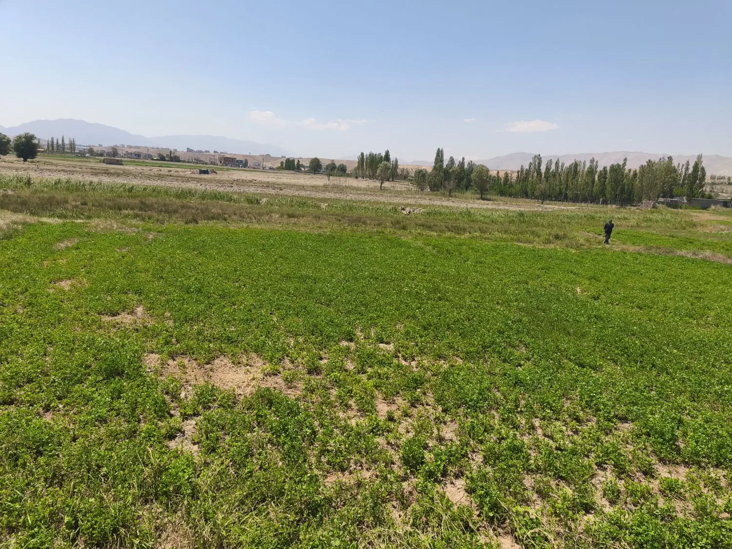 زمین مناسب سرمایه‌گذاری