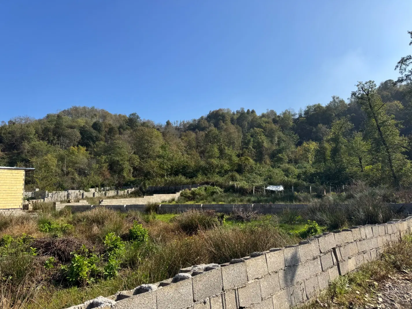 300زمین مسکونی کوهپایه