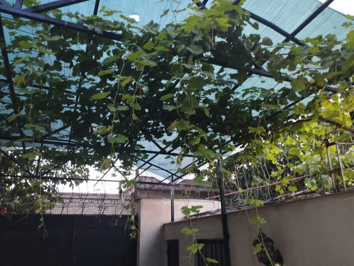 رهن واجاره
