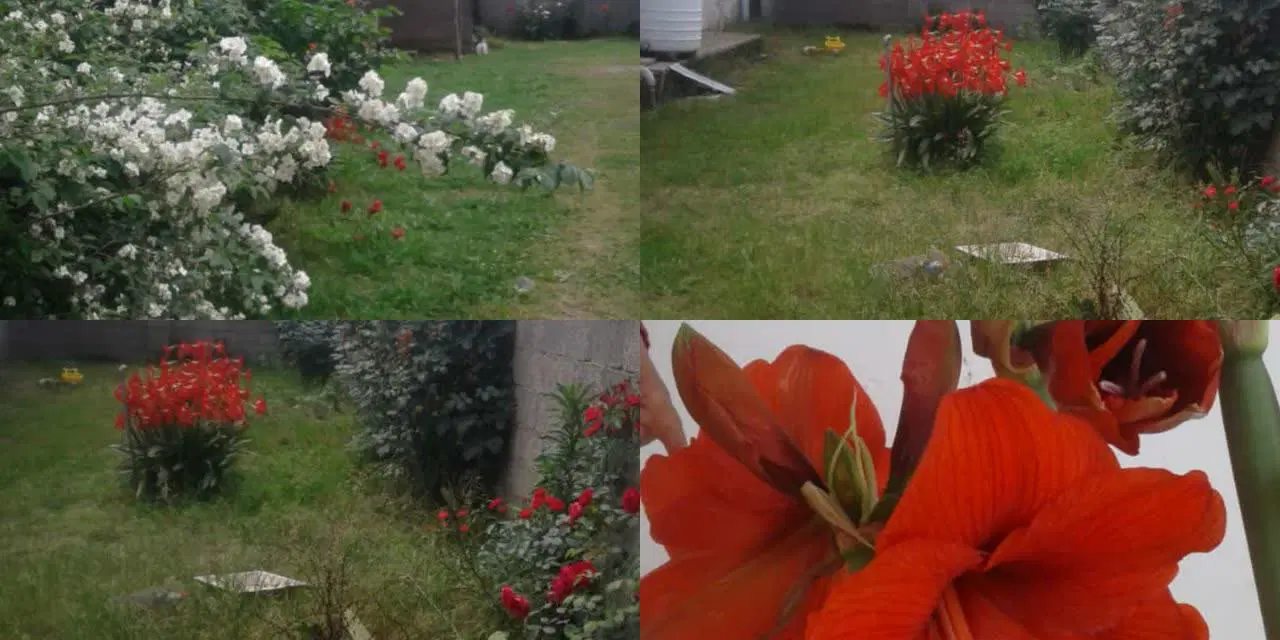 ویلایی ۹۰۰۰متری صومعه سرا
