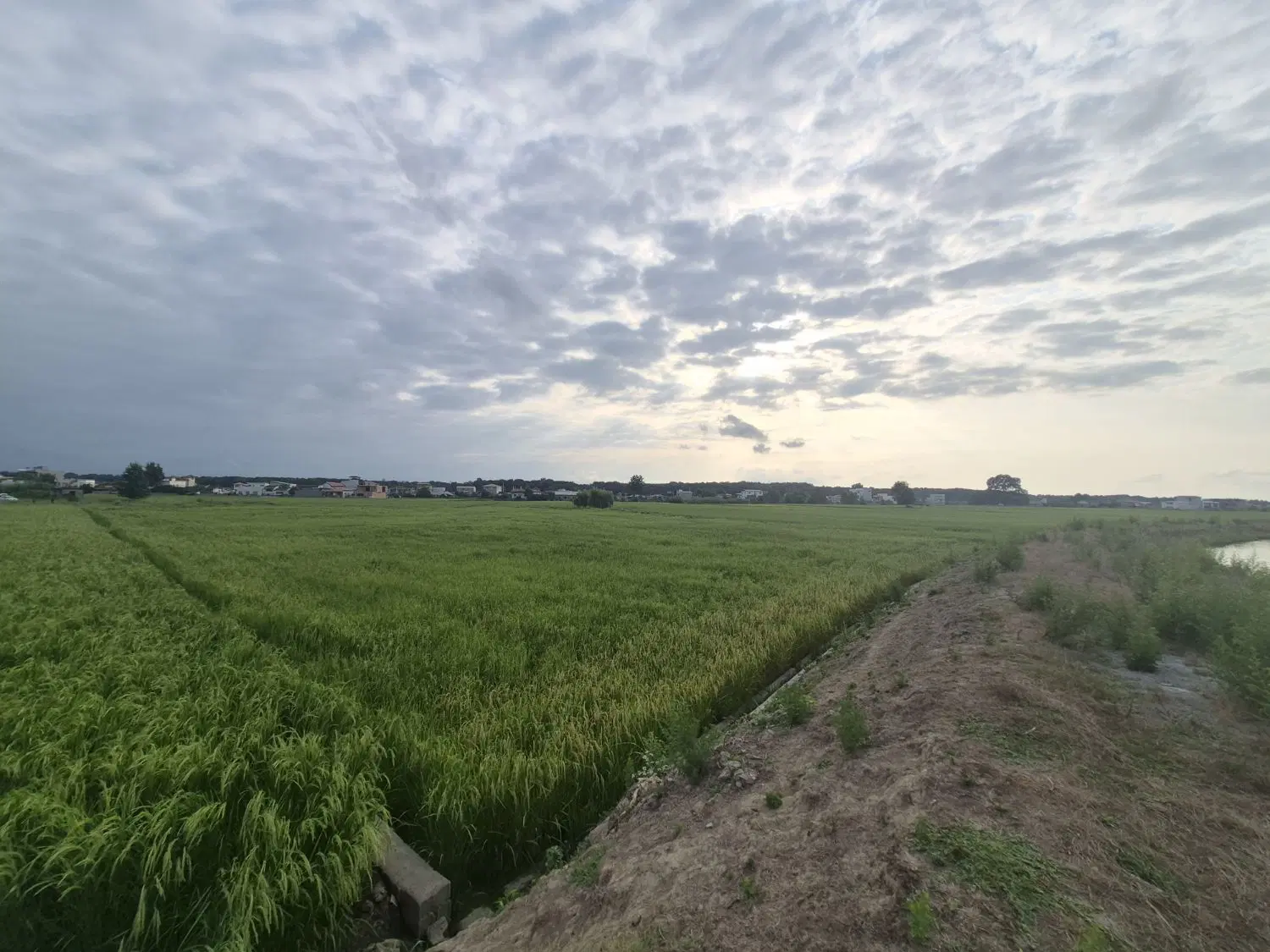 فروش زمین زراعی