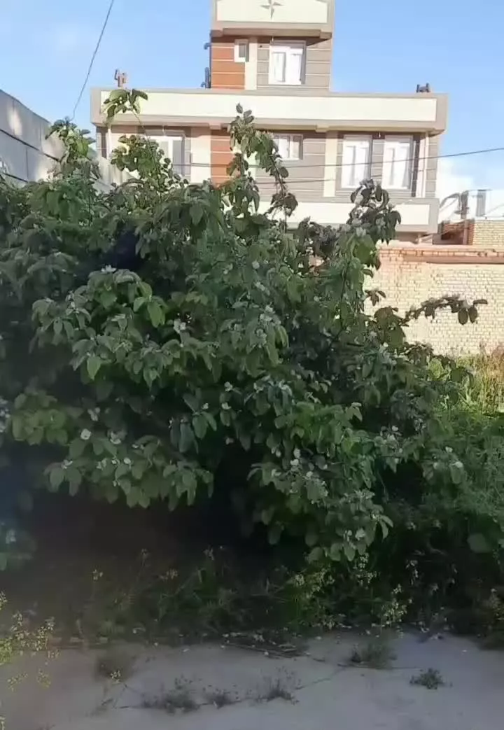 فروش خانه ویلایی در قوشچی