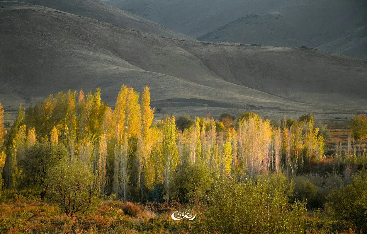 ۲۸۰ متر زمین در روستای مانیزان باسند مسکن ملایر