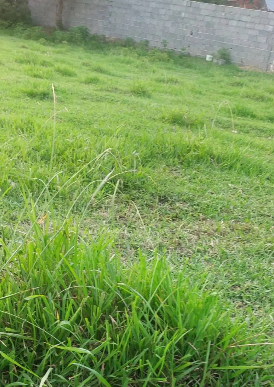 480مترزمین (پشته)داخل طرح هادی