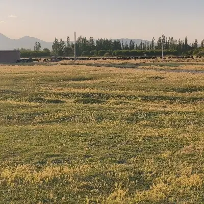 دوقطعه زمین مسکونی طرح هادی روستای حسنلو