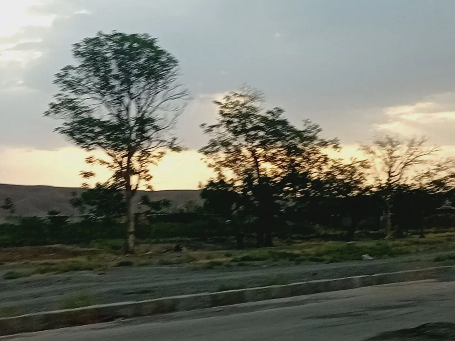 زمین شیش دانگ ناصری