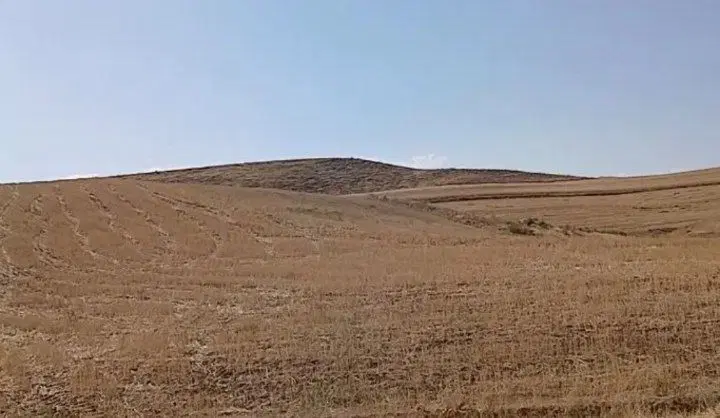 زمین کشاورزی دیمی در روستای سیدان