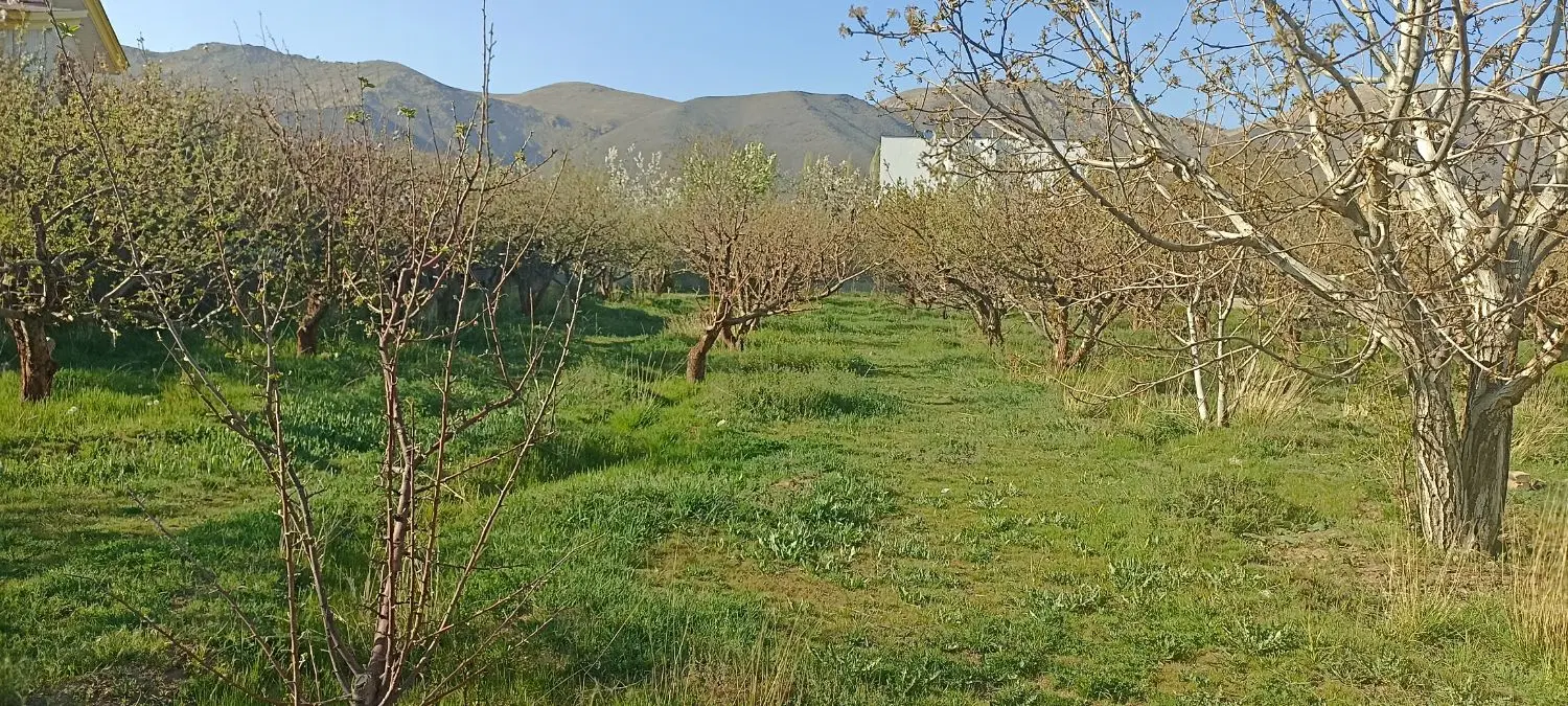 فروش زمین و باغ